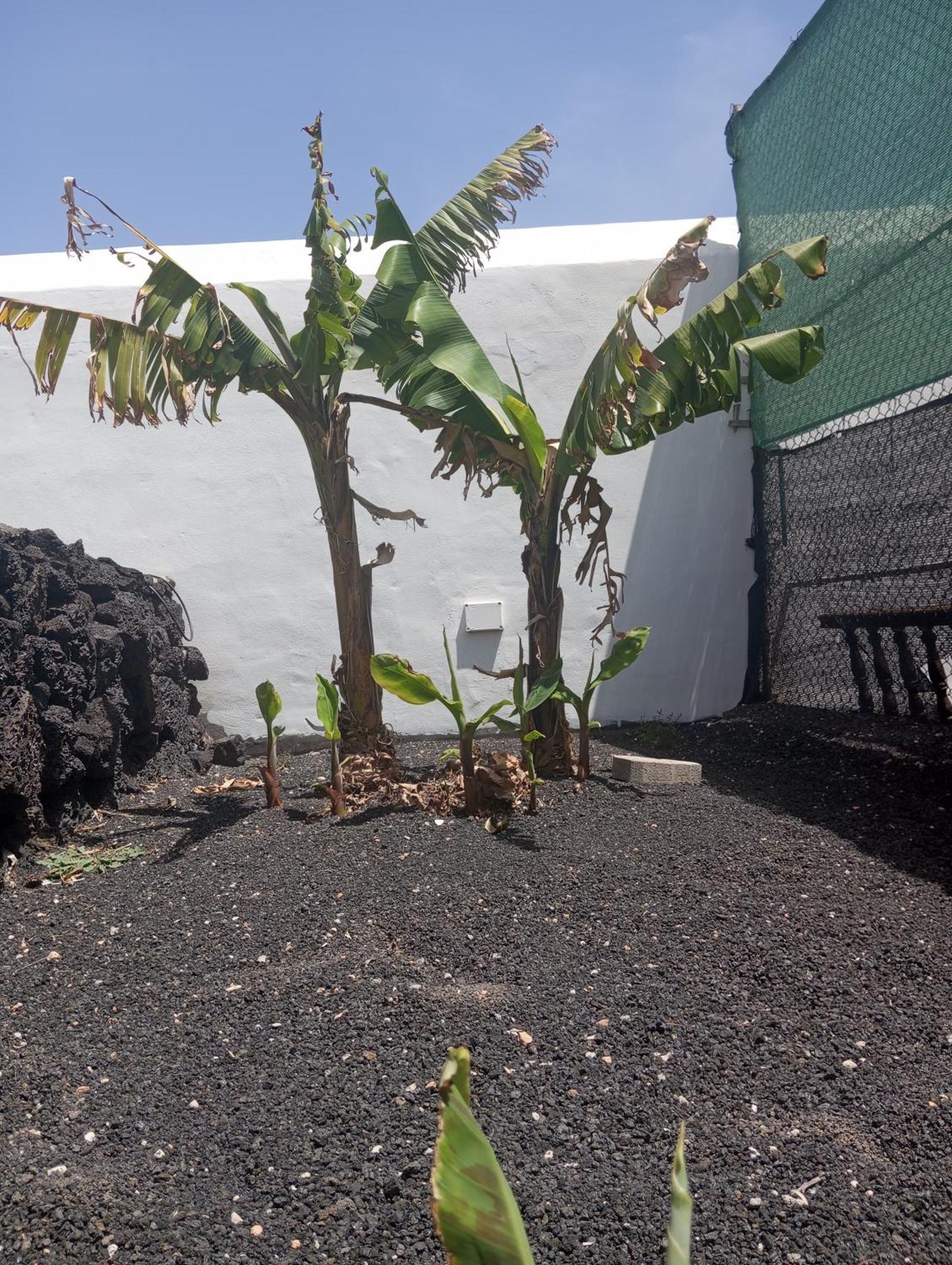 Vila Casa Siempreviva Teguise  Exteriér fotografie